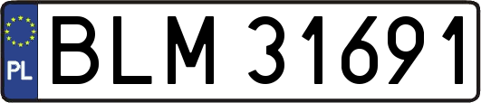 BLM31691