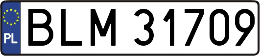 BLM31709