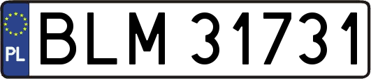 BLM31731