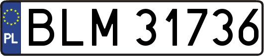 BLM31736