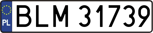 BLM31739