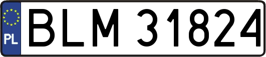 BLM31824