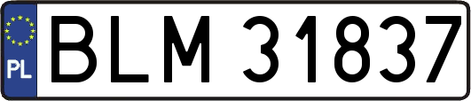 BLM31837
