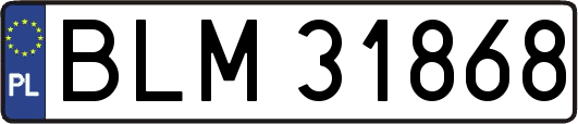 BLM31868