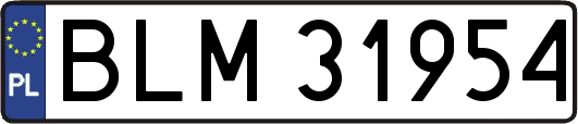 BLM31954