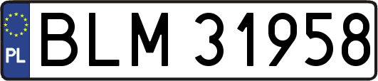BLM31958