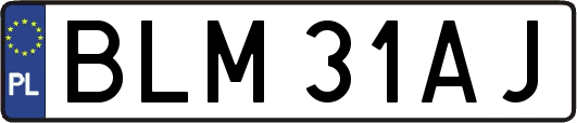 BLM31AJ
