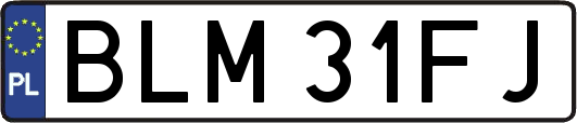 BLM31FJ