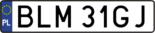 BLM31GJ