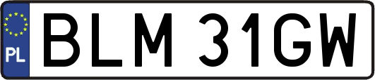 BLM31GW