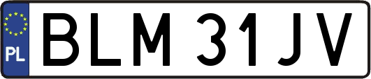 BLM31JV