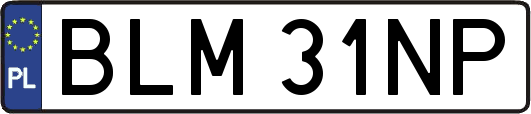 BLM31NP