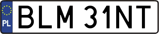 BLM31NT