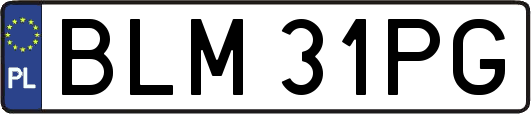 BLM31PG