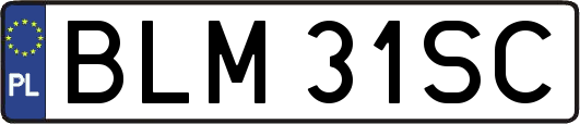 BLM31SC