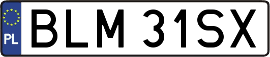 BLM31SX