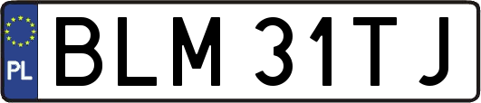 BLM31TJ
