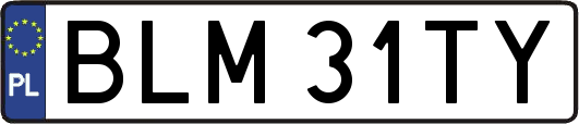 BLM31TY