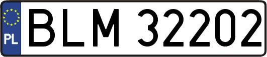 BLM32202