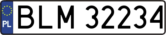 BLM32234