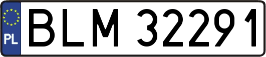 BLM32291