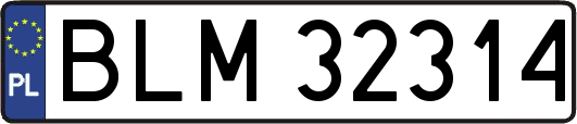 BLM32314