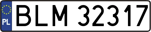 BLM32317
