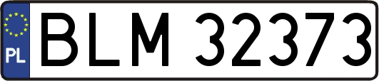 BLM32373