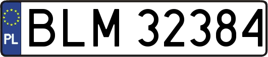BLM32384