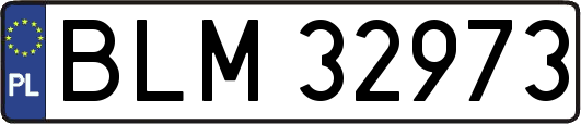 BLM32973