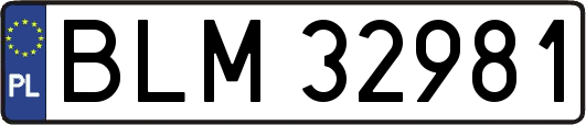 BLM32981