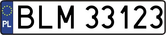 BLM33123