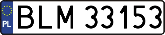 BLM33153