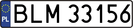 BLM33156