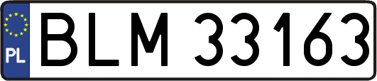 BLM33163