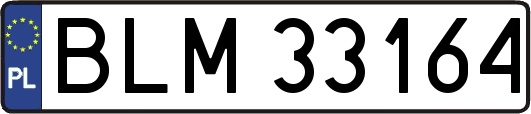 BLM33164