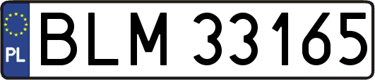 BLM33165