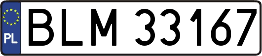 BLM33167