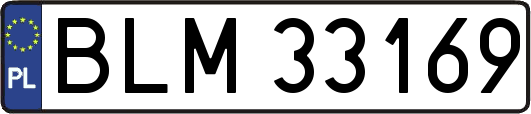 BLM33169