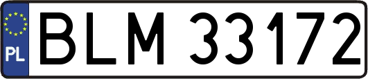 BLM33172
