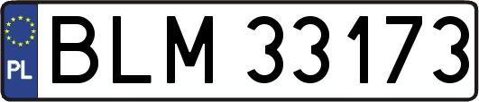 BLM33173