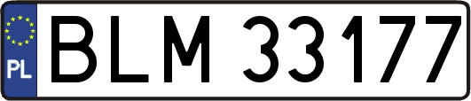 BLM33177