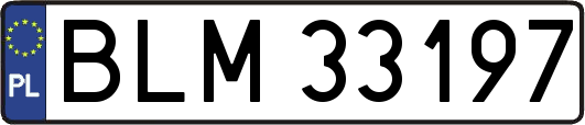 BLM33197