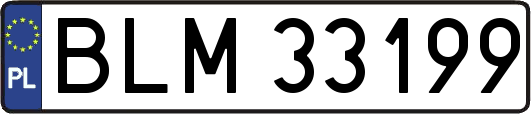 BLM33199