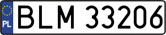 BLM33206