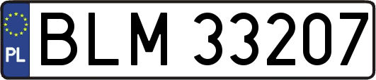 BLM33207