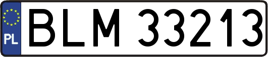 BLM33213