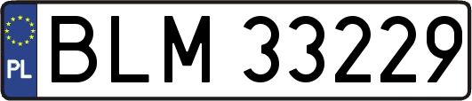BLM33229