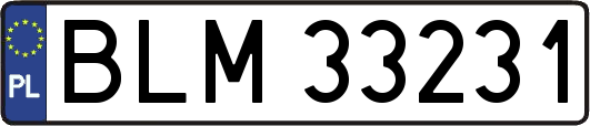 BLM33231