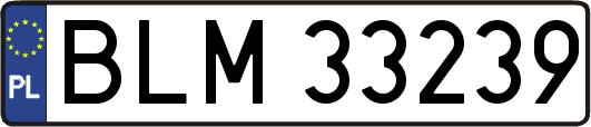 BLM33239